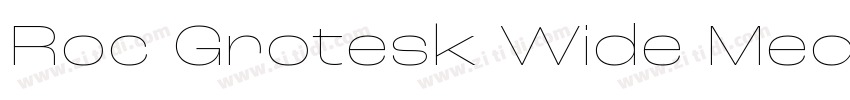 Roc Grotesk Wide Med字体转换